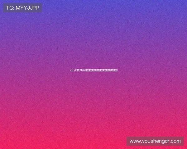 2020年CBA季后赛深圳队与福建队激战回顾与精彩瞬间分析